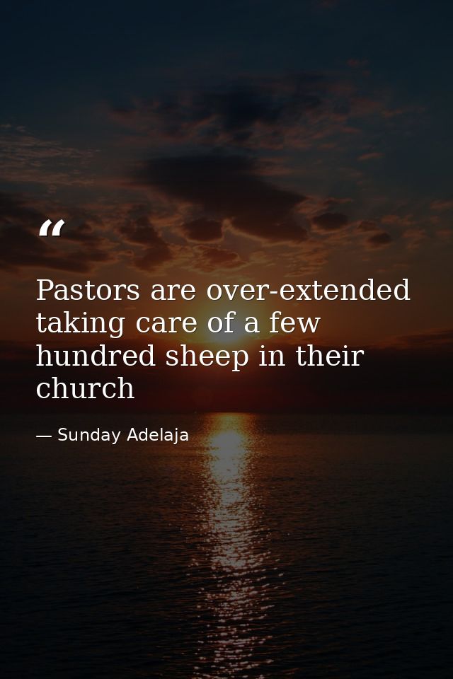 Pastors are over-extended taking care of a few hundred sheep in their church — Sunday Adelaja