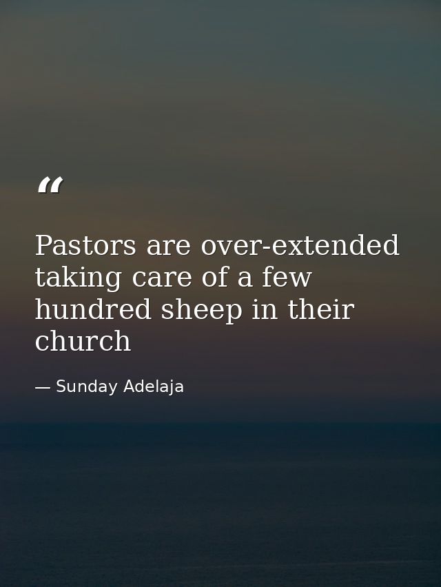 Pastors are over-extended taking care of a few hundred sheep in their church — Sunday Adelaja
