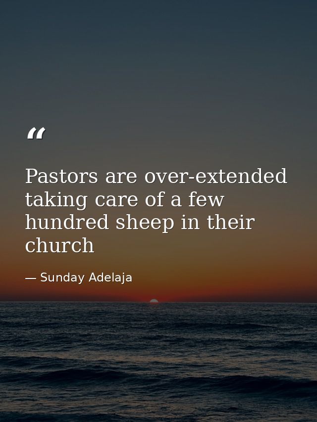 Pastors are over-extended taking care of a few hundred sheep in their church — Sunday Adelaja