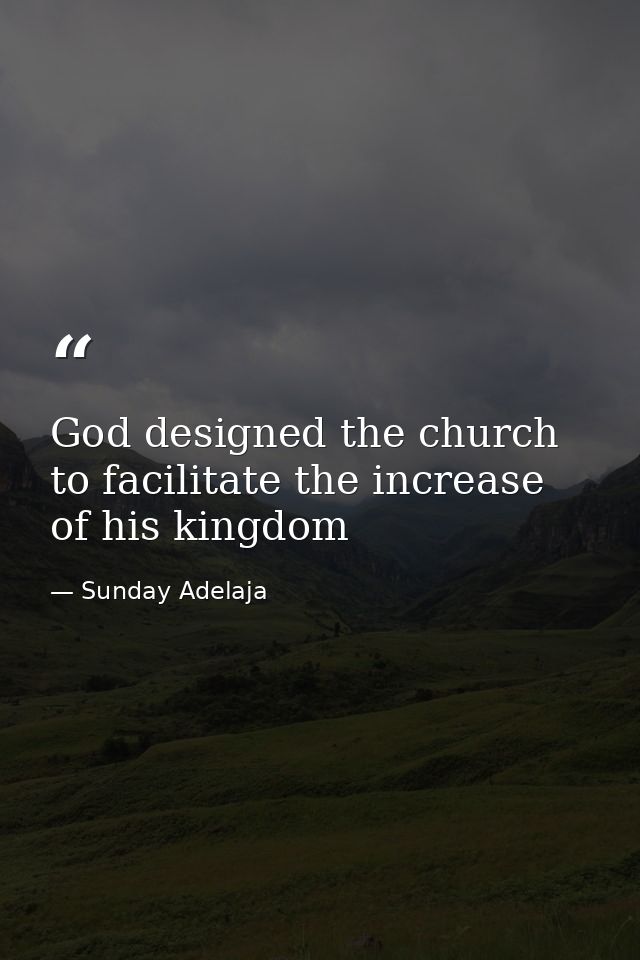 God designed the church to facilitate the increase of his kingdom — Sunday Adelaja