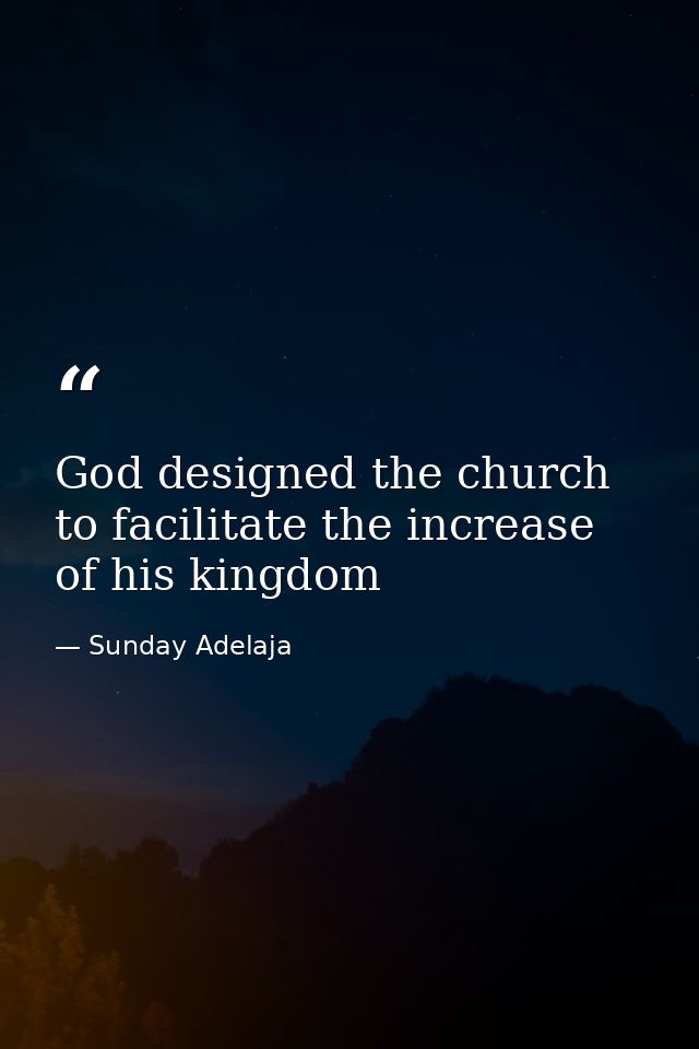 God designed the church to facilitate the increase of his kingdom — Sunday Adelaja