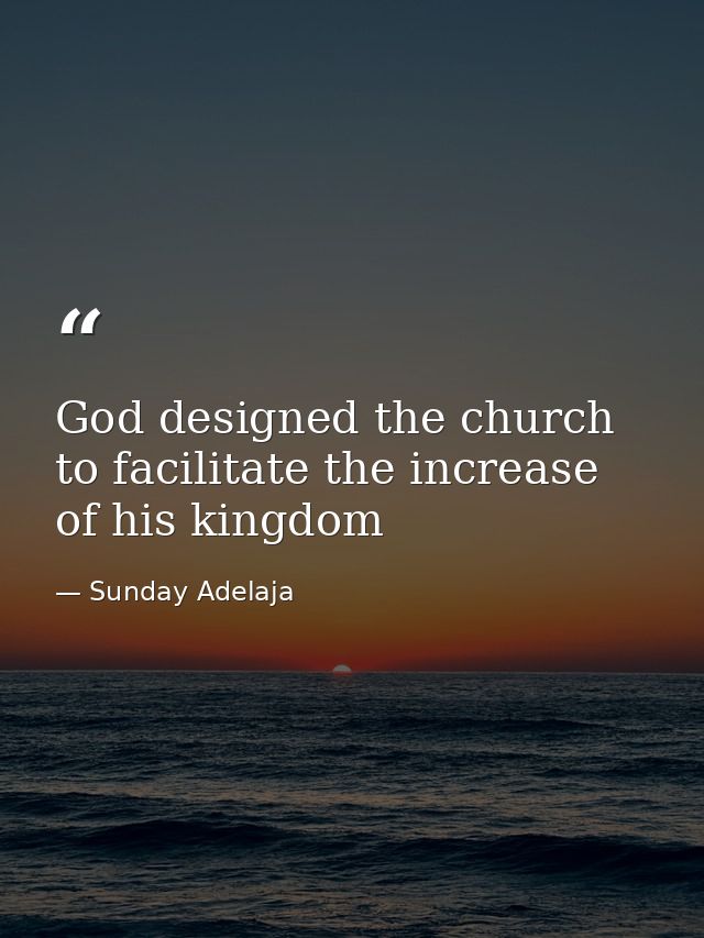 God designed the church to facilitate the increase of his kingdom — Sunday Adelaja