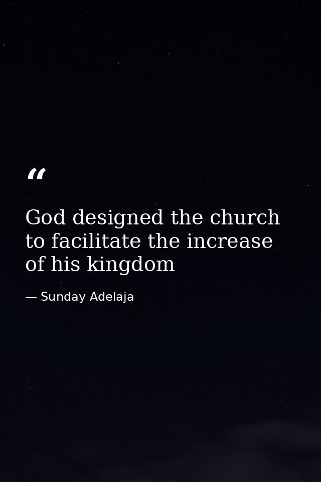 God designed the church to facilitate the increase of his kingdom — Sunday Adelaja
