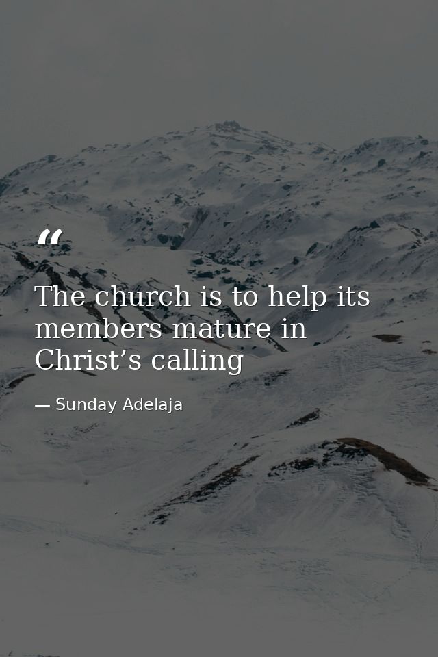 The church is to help its members mature in Christ’s calling — Sunday Adelaja