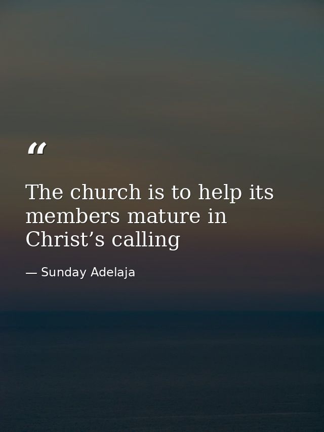 The church is to help its members mature in Christ’s calling — Sunday Adelaja