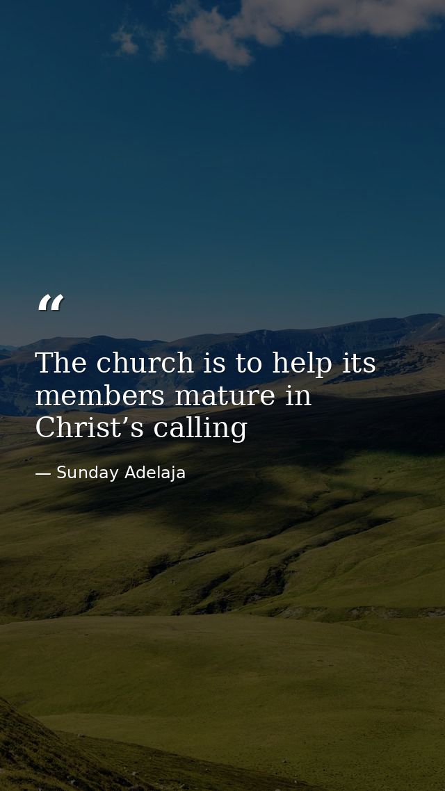 The church is to help its members mature in Christ’s calling — Sunday Adelaja
