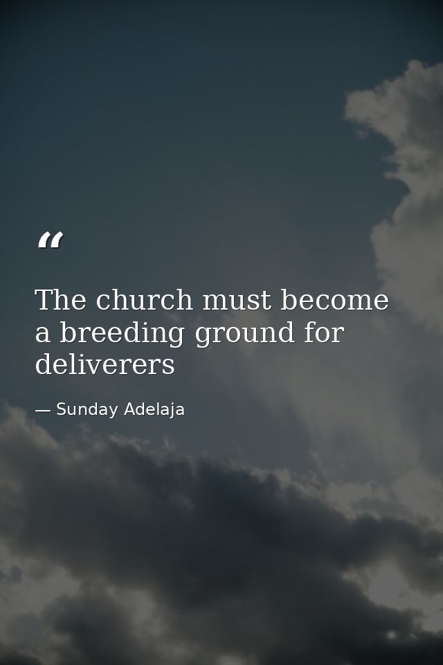 The church must become a breeding ground for deliverers — Sunday Adelaja