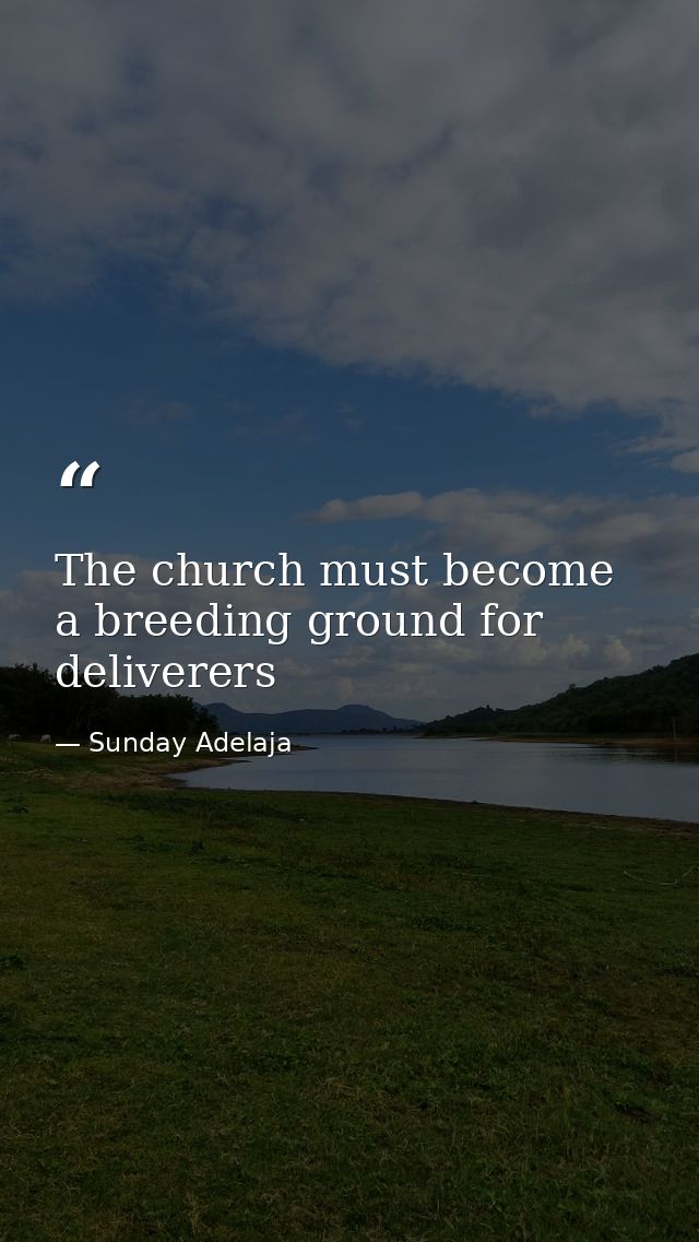 The church must become a breeding ground for deliverers — Sunday Adelaja