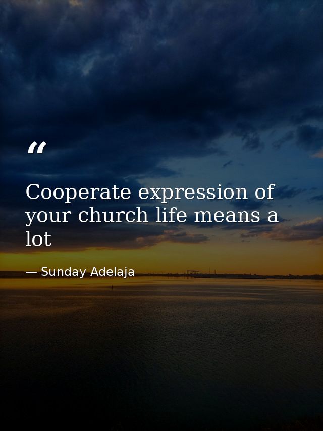 Cooperate expression of your church life means a lot — Sunday Adelaja
