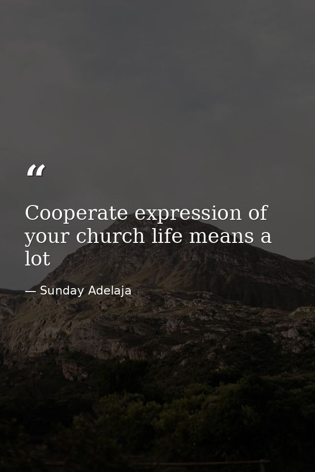 Cooperate expression of your church life means a lot — Sunday Adelaja
