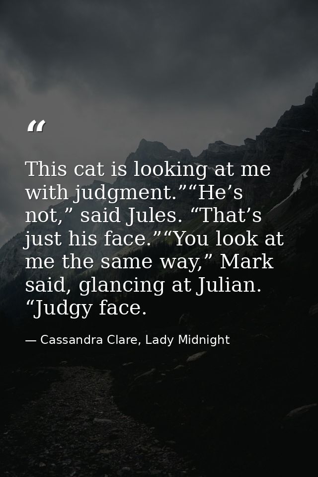 This cat is looking at me with judgment.”“He’s not,” said Jules. “That’s just his face.”“You look at me the same way,” M — Cassandra Clare, Lady Midnight