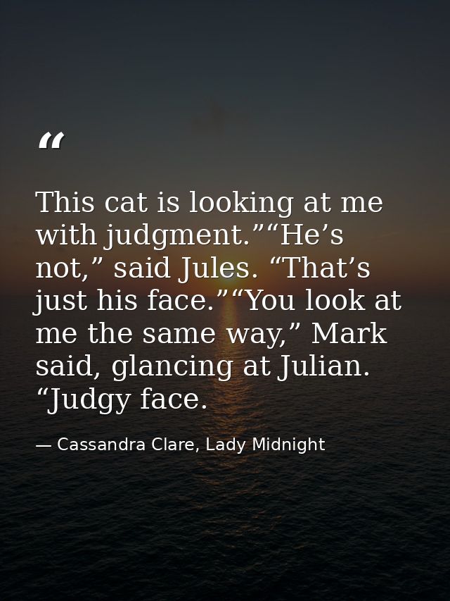 This cat is looking at me with judgment.”“He’s not,” said Jules. “That’s just his face.”“You look at me the same way,” M — Cassandra Clare, Lady Midnight
