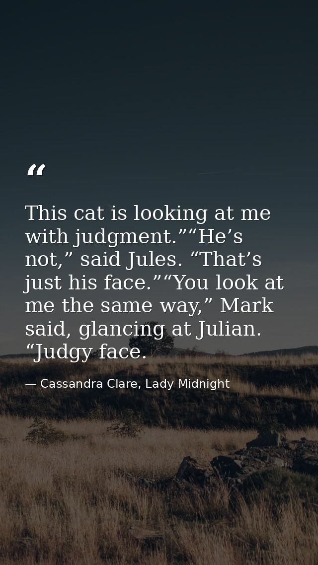 This cat is looking at me with judgment.”“He’s not,” said Jules. “That’s just his face.”“You look at me the same way,” M — Cassandra Clare, Lady Midnight