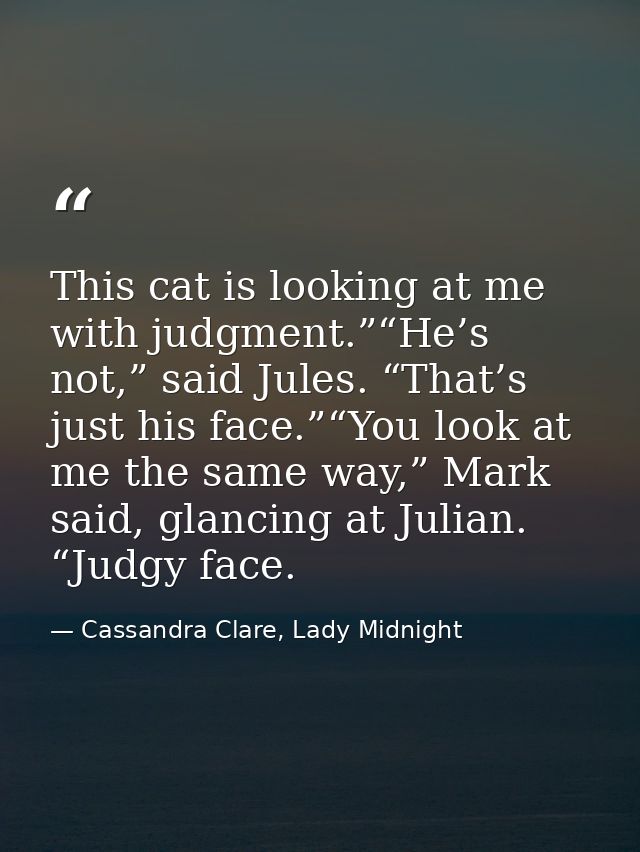 This cat is looking at me with judgment.”“He’s not,” said Jules. “That’s just his face.”“You look at me the same way,” M — Cassandra Clare, Lady Midnight