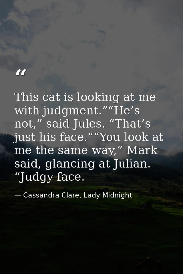 This cat is looking at me with judgment.”“He’s not,” said Jules. “That’s just his face.”“You look at me the same way,” M — Cassandra Clare, Lady Midnight