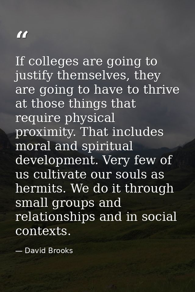 If colleges are going to justify themselves, they are going to have to thrive at those things that require physical prox — David Brooks