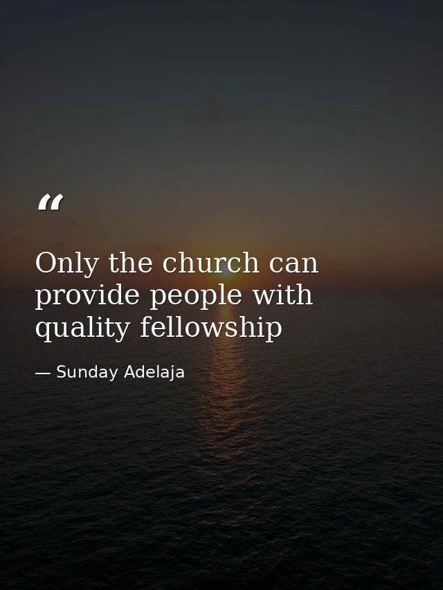 Only the church can provide people with quality fellowship — Sunday Adelaja