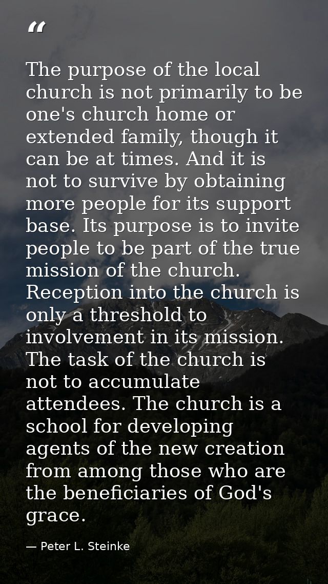 The purpose of the local church is not primarily to be one's church home or extended family, though it can be at times.  — Peter L. Steinke
