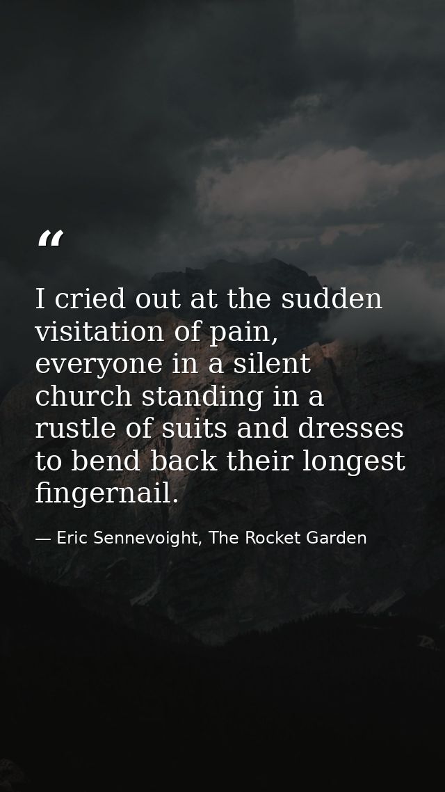 I cried out at the sudden visitation of pain, everyone in a silent church standing in a rustle of suits and dresses to b — Eric Sennevoight, The Rocket Garden