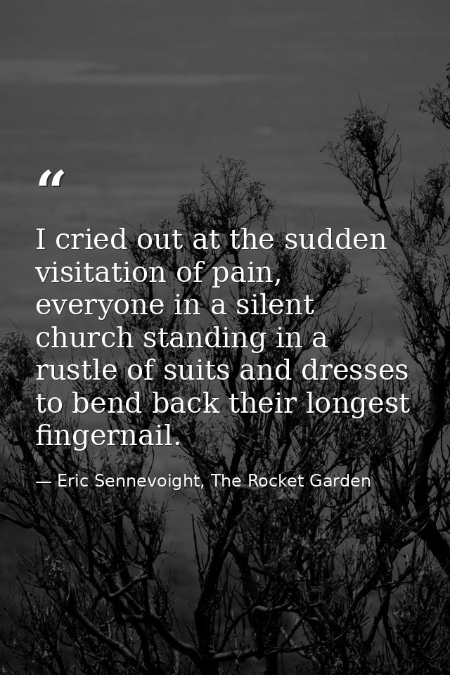 I cried out at the sudden visitation of pain, everyone in a silent church standing in a rustle of suits and dresses to b — Eric Sennevoight, The Rocket Garden