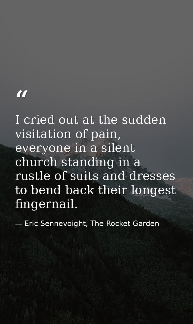 I cried out at the sudden visitation of pain, everyone in a silent church standing in a rustle of suits and dresses to b — Eric Sennevoight, The Rocket Garden
