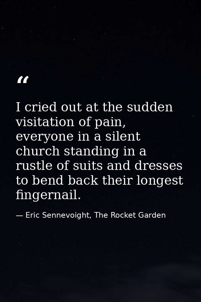 I cried out at the sudden visitation of pain, everyone in a silent church standing in a rustle of suits and dresses to b — Eric Sennevoight, The Rocket Garden