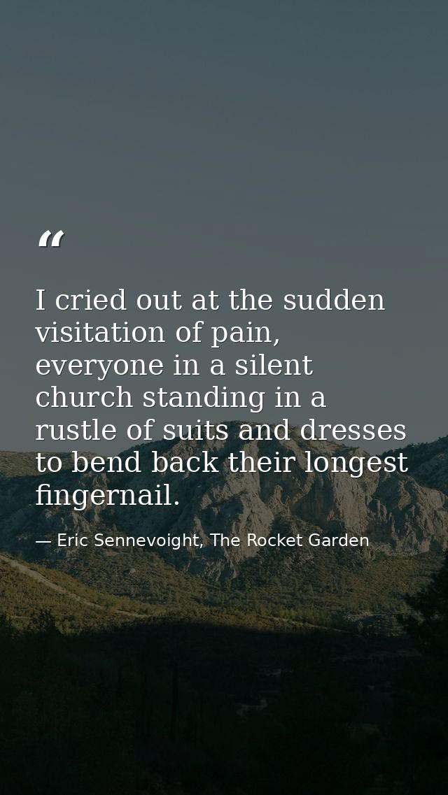 I cried out at the sudden visitation of pain, everyone in a silent church standing in a rustle of suits and dresses to b — Eric Sennevoight, The Rocket Garden