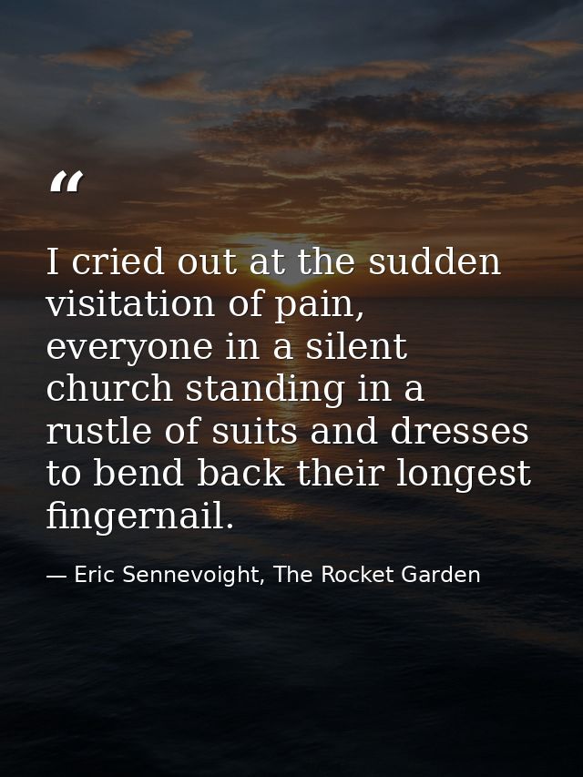 I cried out at the sudden visitation of pain, everyone in a silent church standing in a rustle of suits and dresses to b — Eric Sennevoight, The Rocket Garden