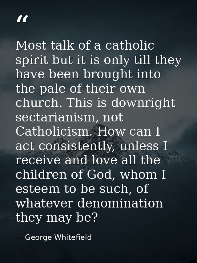Most talk of a catholic spirit but it is only till they have been brought into the pale of their own church. This is dow — George Whitefield