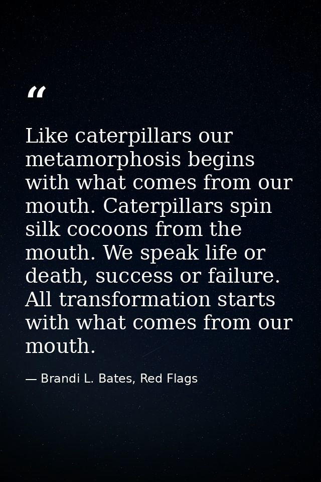 Like caterpillars our metamorphosis begins with what comes from our mouth. Caterpillars spin silk cocoons from the mouth — Brandi L. Bates, Red Flags