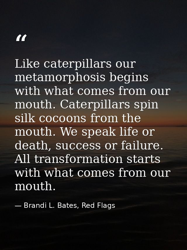 Like caterpillars our metamorphosis begins with what comes from our mouth. Caterpillars spin silk cocoons from the mouth — Brandi L. Bates, Red Flags