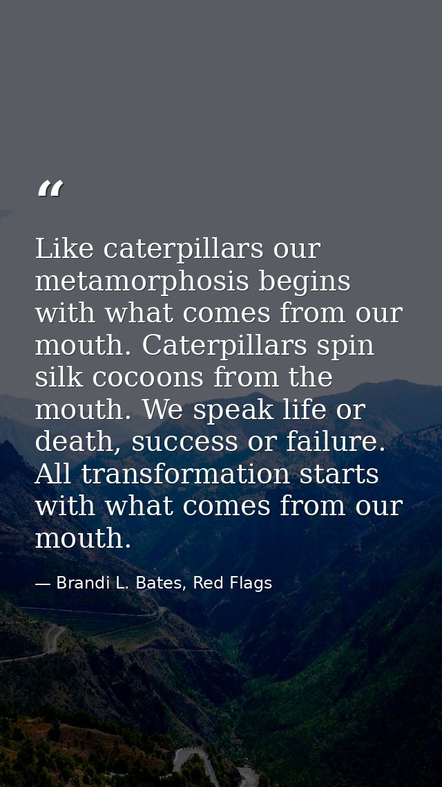 Like caterpillars our metamorphosis begins with what comes from our mouth. Caterpillars spin silk cocoons from the mouth — Brandi L. Bates, Red Flags