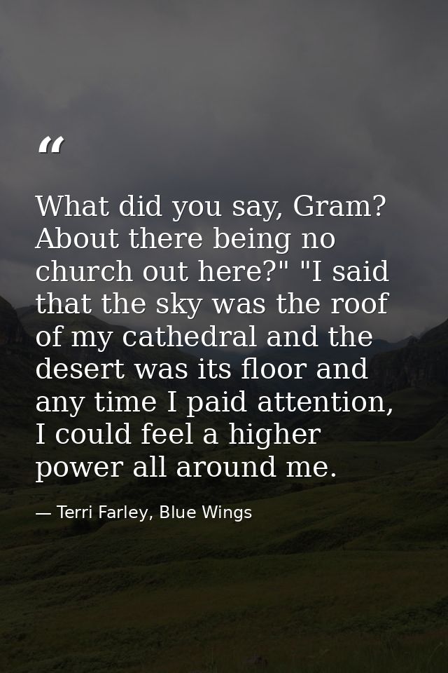 What did you say, Gram? About there being no church out here?" "I said that the sky was the roof of my cathedral and the — Terri Farley, Blue Wings