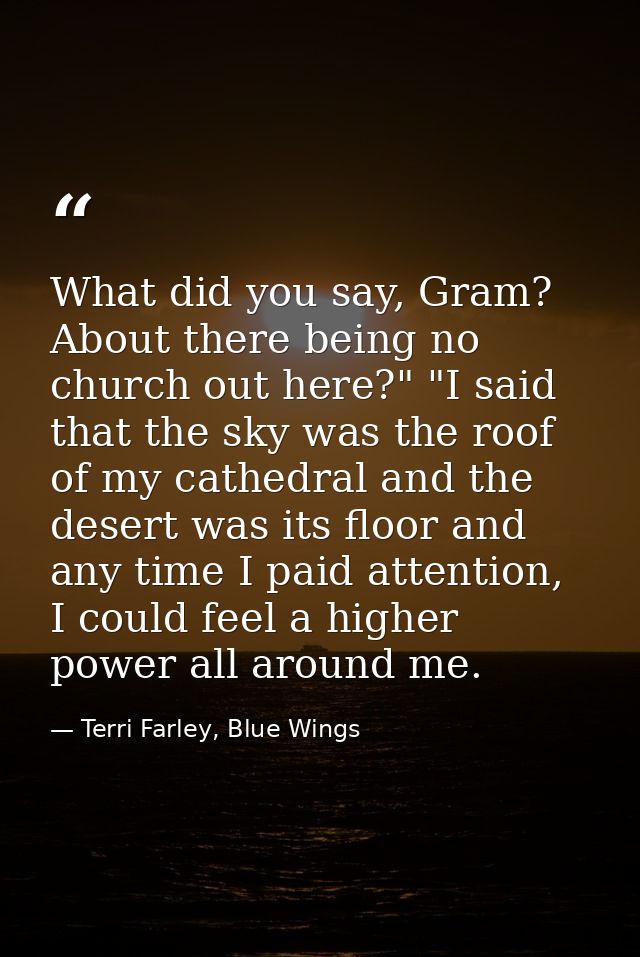 What did you say, Gram? About there being no church out here?" "I said that the sky was the roof of my cathedral and the — Terri Farley, Blue Wings