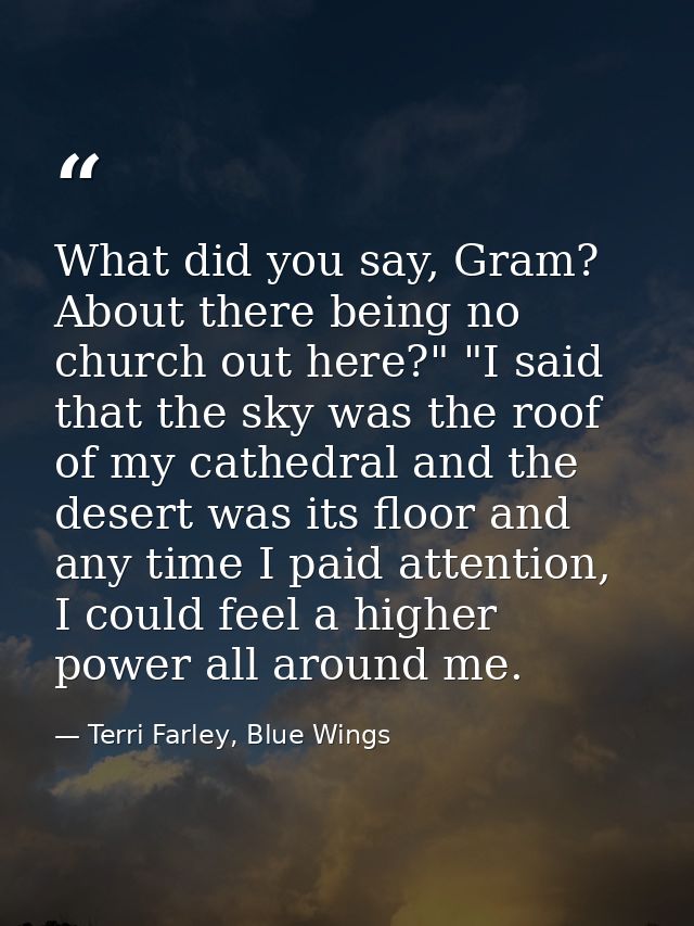 What did you say, Gram? About there being no church out here?" "I said that the sky was the roof of my cathedral and the — Terri Farley, Blue Wings