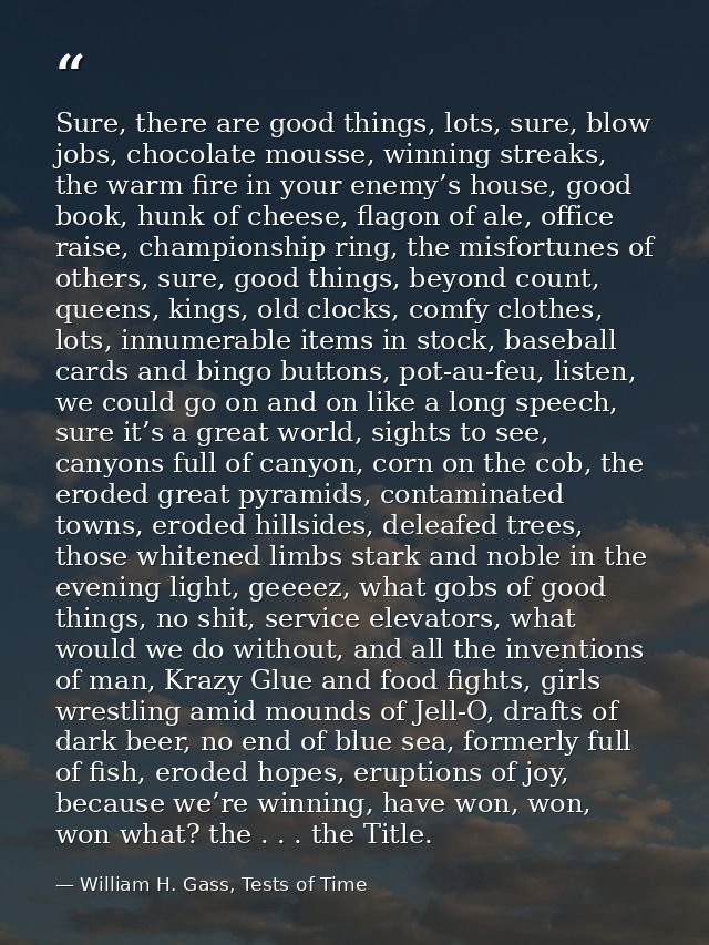 Sure, there are good things, lots, sure, blow jobs, chocolate mousse, winning streaks, the warm fire in your enemy’s hou — William H. Gass, Tests of Time