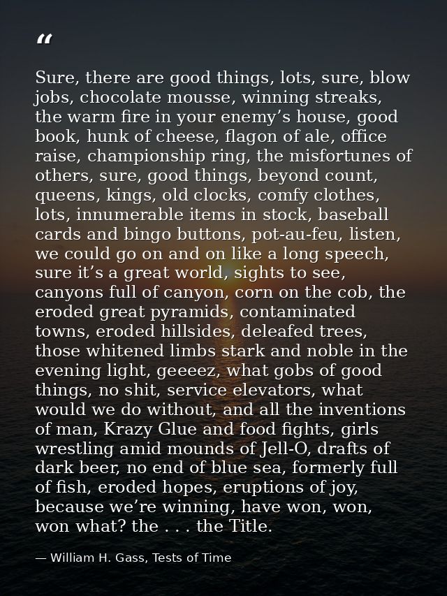 Sure, there are good things, lots, sure, blow jobs, chocolate mousse, winning streaks, the warm fire in your enemy’s hou — William H. Gass, Tests of Time