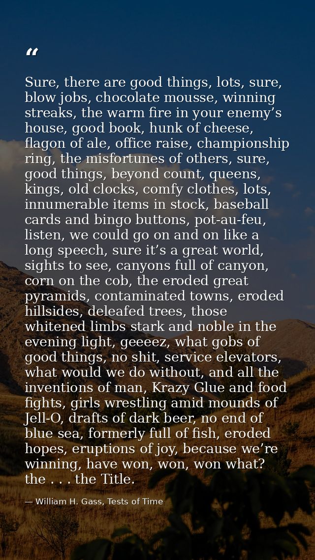Sure, there are good things, lots, sure, blow jobs, chocolate mousse, winning streaks, the warm fire in your enemy’s hou — William H. Gass, Tests of Time