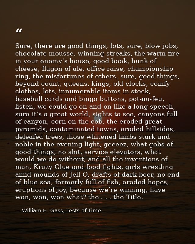 Sure, there are good things, lots, sure, blow jobs, chocolate mousse, winning streaks, the warm fire in your enemy’s hou — William H. Gass, Tests of Time