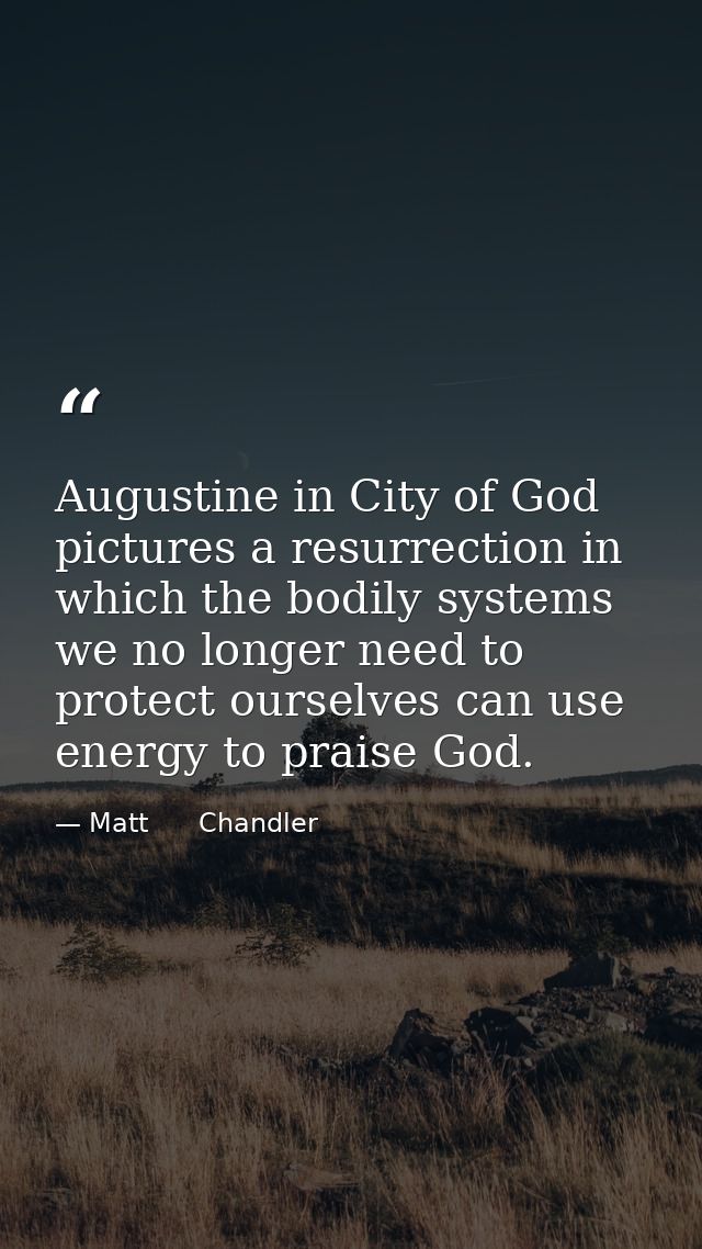 Augustine in City of God pictures a resurrection in which the bodily systems we no longer need to protect ourselves can  — Matt      Chandler