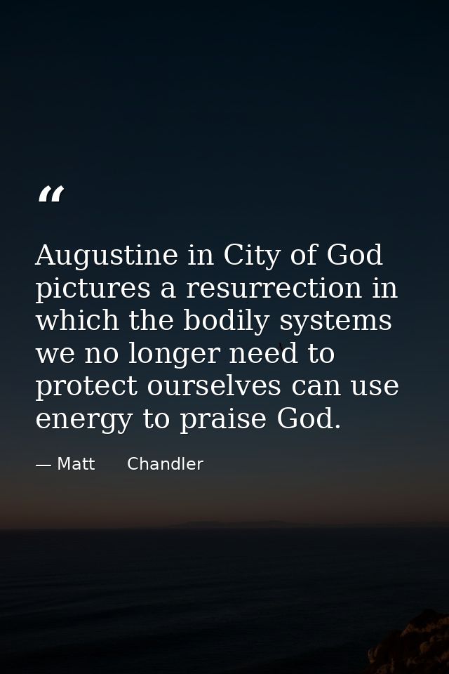 Augustine in City of God pictures a resurrection in which the bodily systems we no longer need to protect ourselves can  — Matt      Chandler