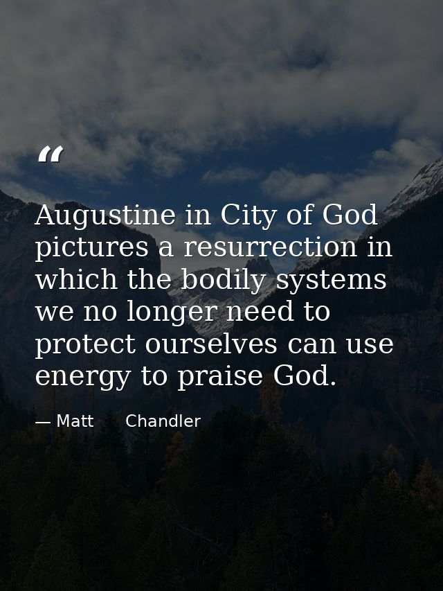 Augustine in City of God pictures a resurrection in which the bodily systems we no longer need to protect ourselves can  — Matt      Chandler