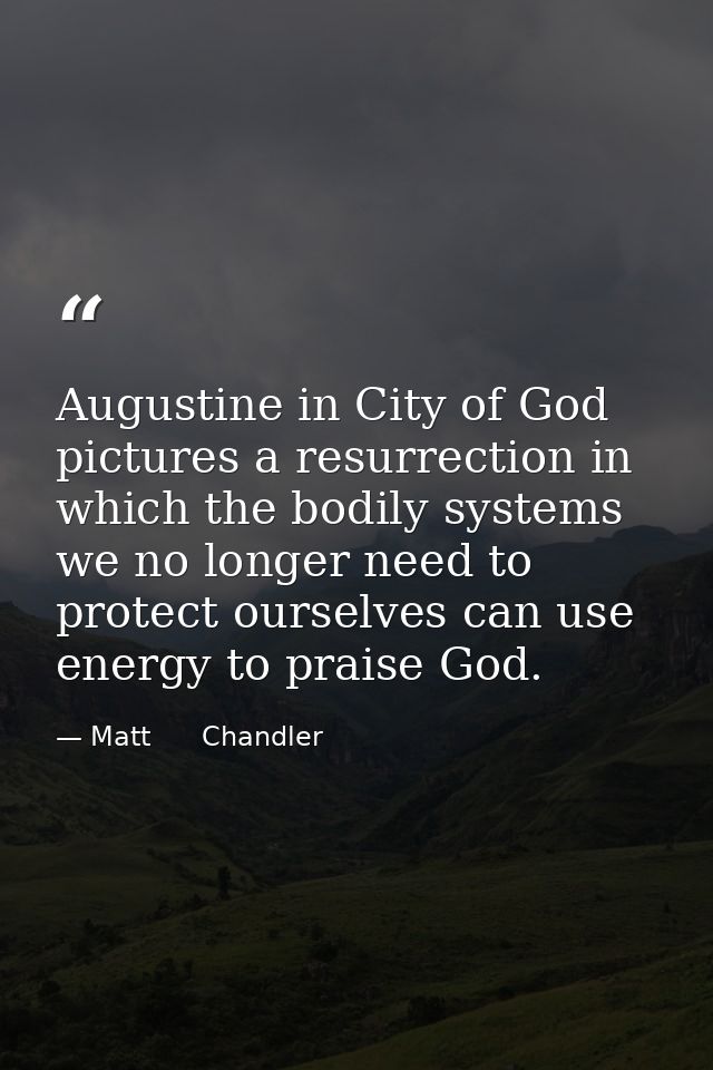 Augustine in City of God pictures a resurrection in which the bodily systems we no longer need to protect ourselves can  — Matt      Chandler