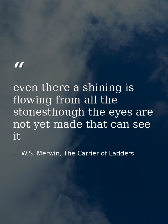 even there a shining is flowing from all the stonesthough the eyes are not yet made that can see it — W.S. Merwin, The Carrier of Ladders