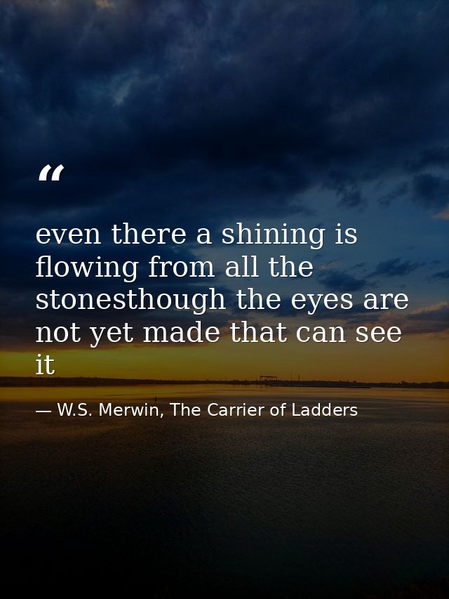 even there a shining is flowing from all the stonesthough the eyes are not yet made that can see it — W.S. Merwin, The Carrier of Ladders