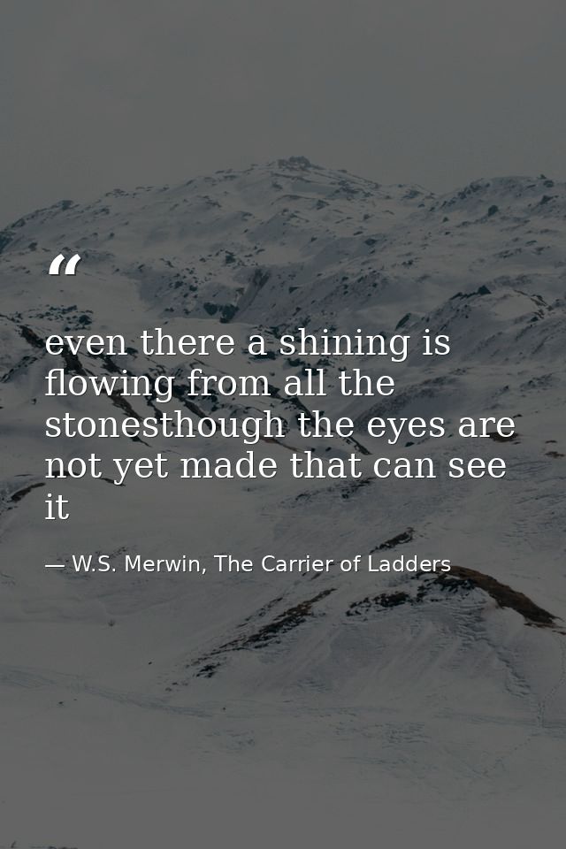 even there a shining is flowing from all the stonesthough the eyes are not yet made that can see it — W.S. Merwin, The Carrier of Ladders