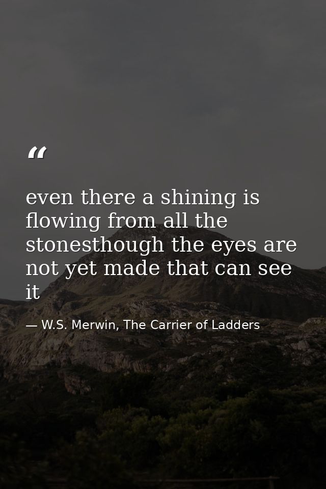 even there a shining is flowing from all the stonesthough the eyes are not yet made that can see it — W.S. Merwin, The Carrier of Ladders