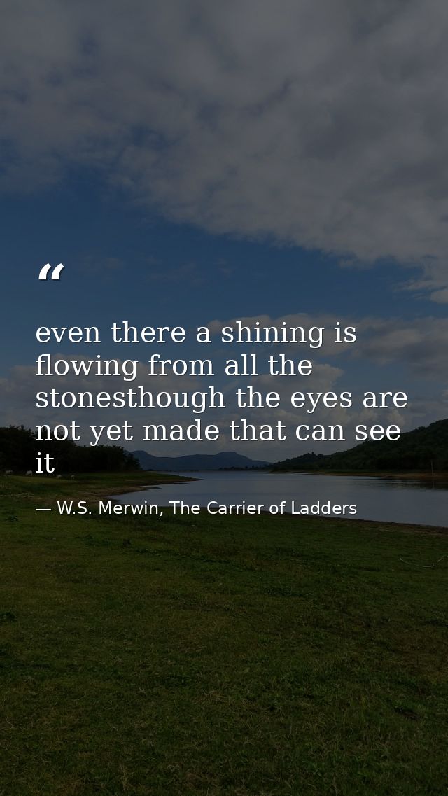 even there a shining is flowing from all the stonesthough the eyes are not yet made that can see it — W.S. Merwin, The Carrier of Ladders