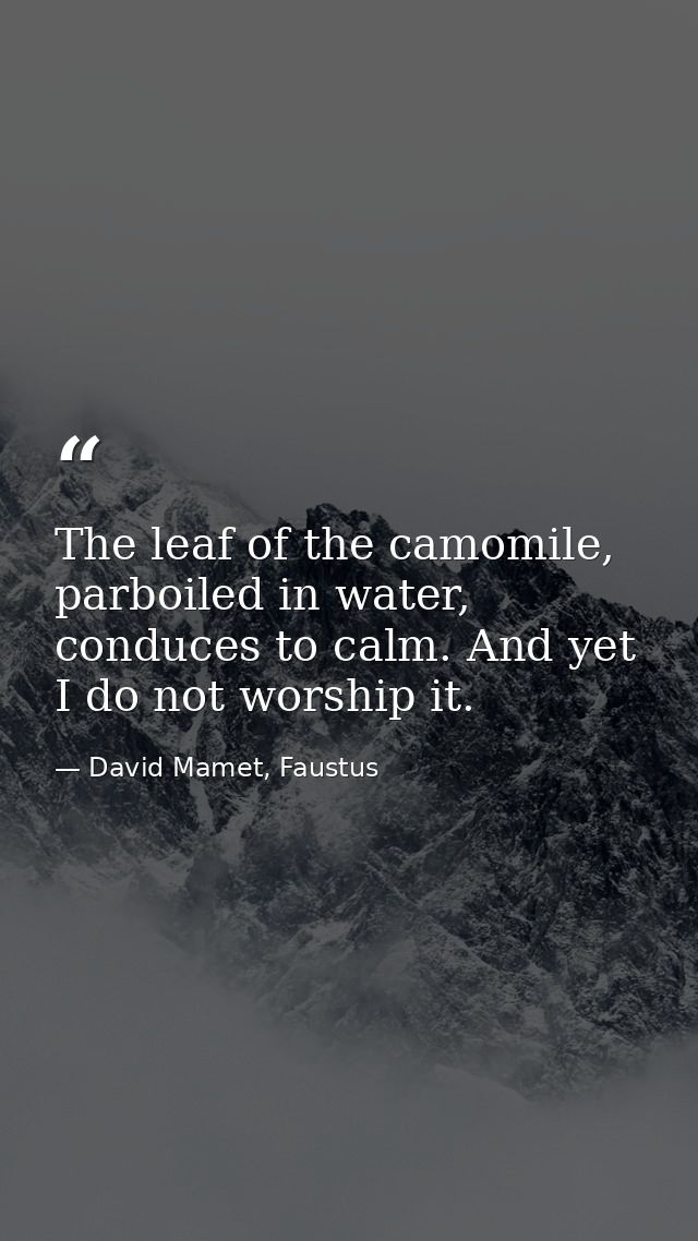 The leaf of the camomile, parboiled in water, conduces to calm. And yet I do not worship it. — David Mamet, Faustus