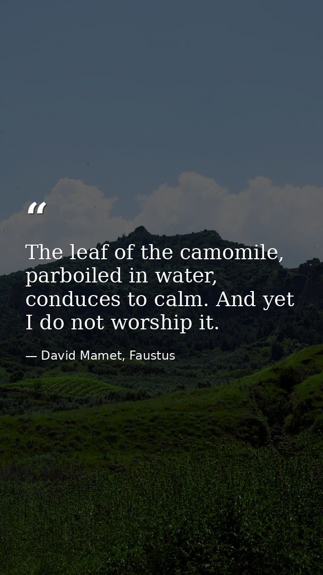 The leaf of the camomile, parboiled in water, conduces to calm. And yet I do not worship it. — David Mamet, Faustus